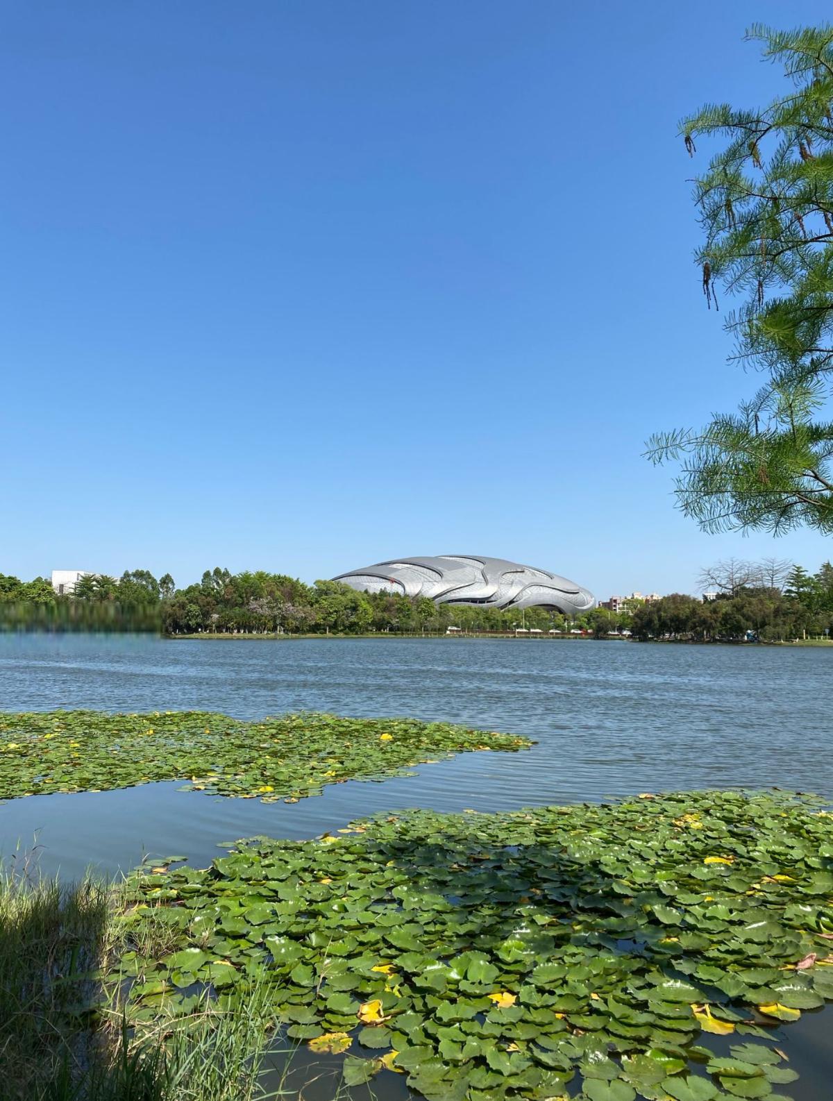 广州大学城一日游攻略 广州大学城是位于广州市番禺区的一座大型教育