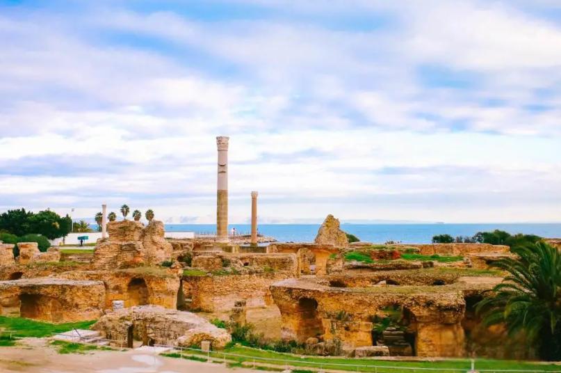 突尼斯:地中海明珠 突尼斯是位于北非的一个发展中国家,有着"地中海