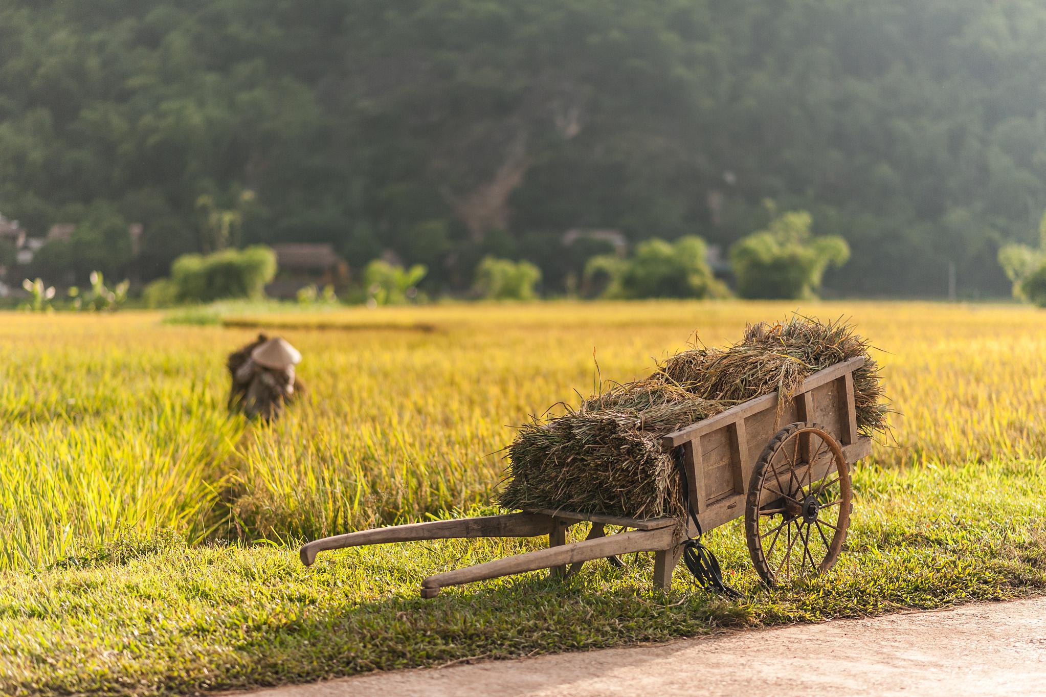 零售业务总经理5 任务分配是一件很不容易的事情,需