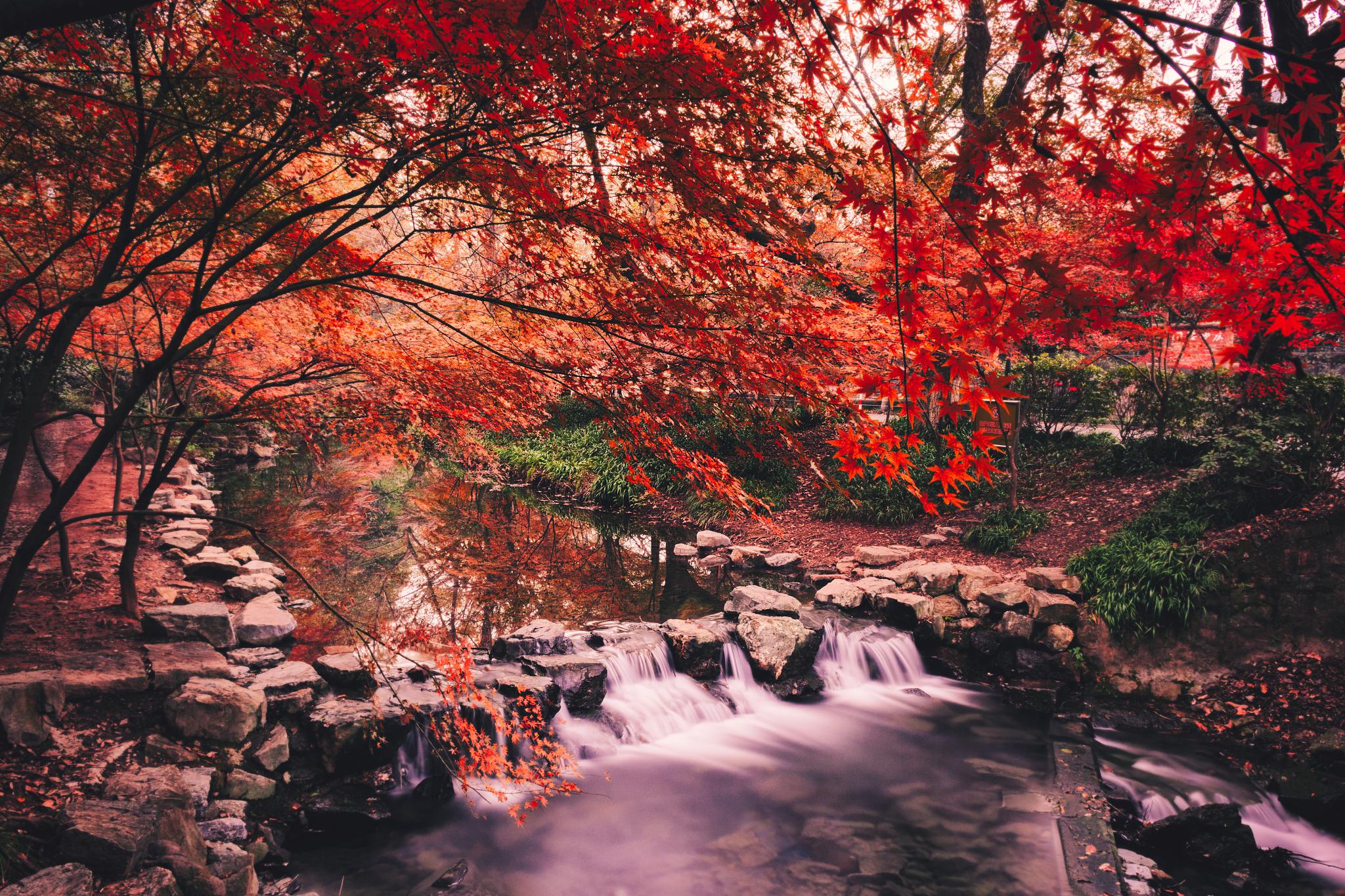 庐山秋天的美丽风光 当夏日的热烈与喧闹渐渐远离,秋天便悄悄走进了