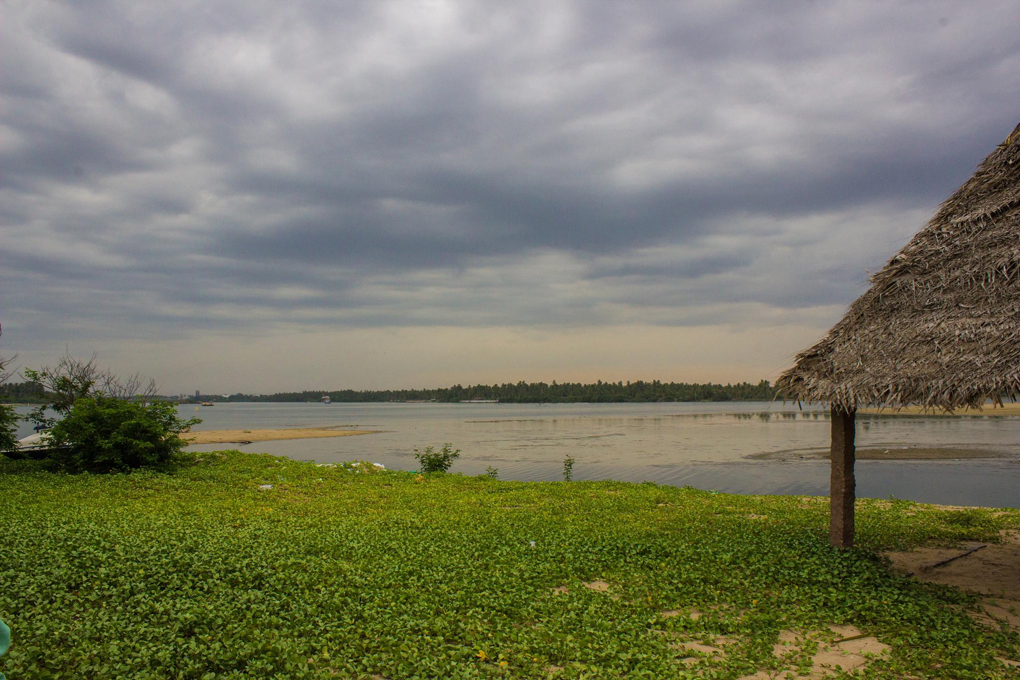 90景点概况 崇明岛东滩位于上海市东北部,是一个自然生态保护区.