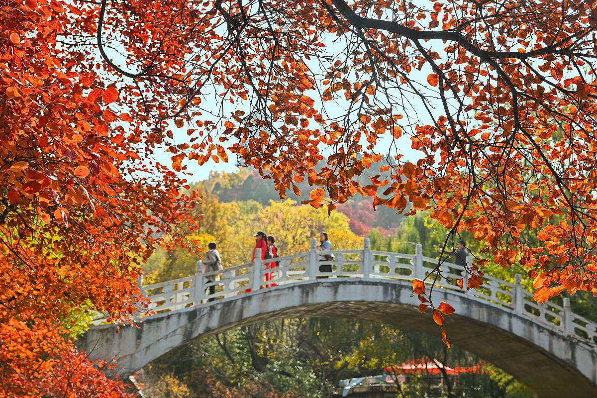 浮来山风景区秋季旅游攻略 浮来山风景区