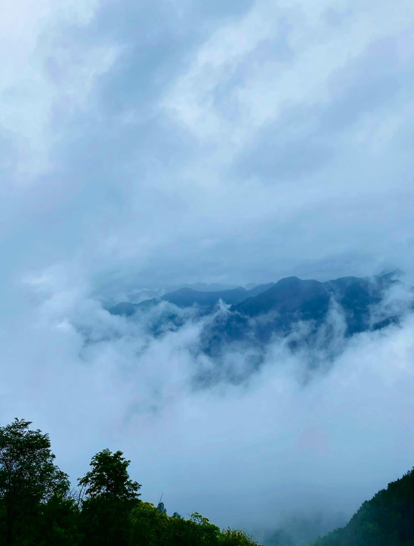 云海之上的秘境——镇安海棠山 镇安海棠山位于秦岭深处,是一座隐藏在