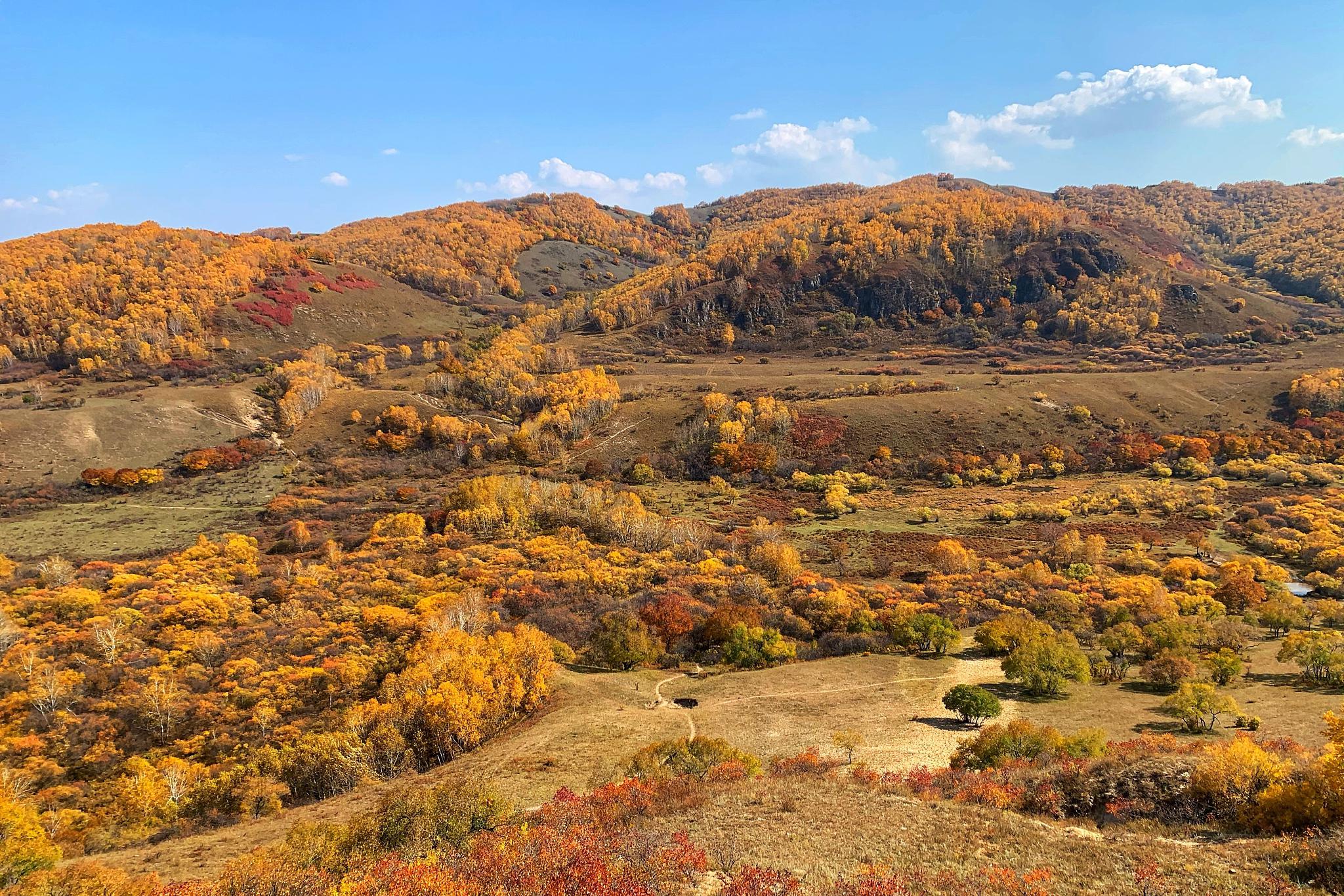 庞泉沟秋季旅游胜地 位于山西省吕梁山脉中北部的庞泉沟,是一个令人