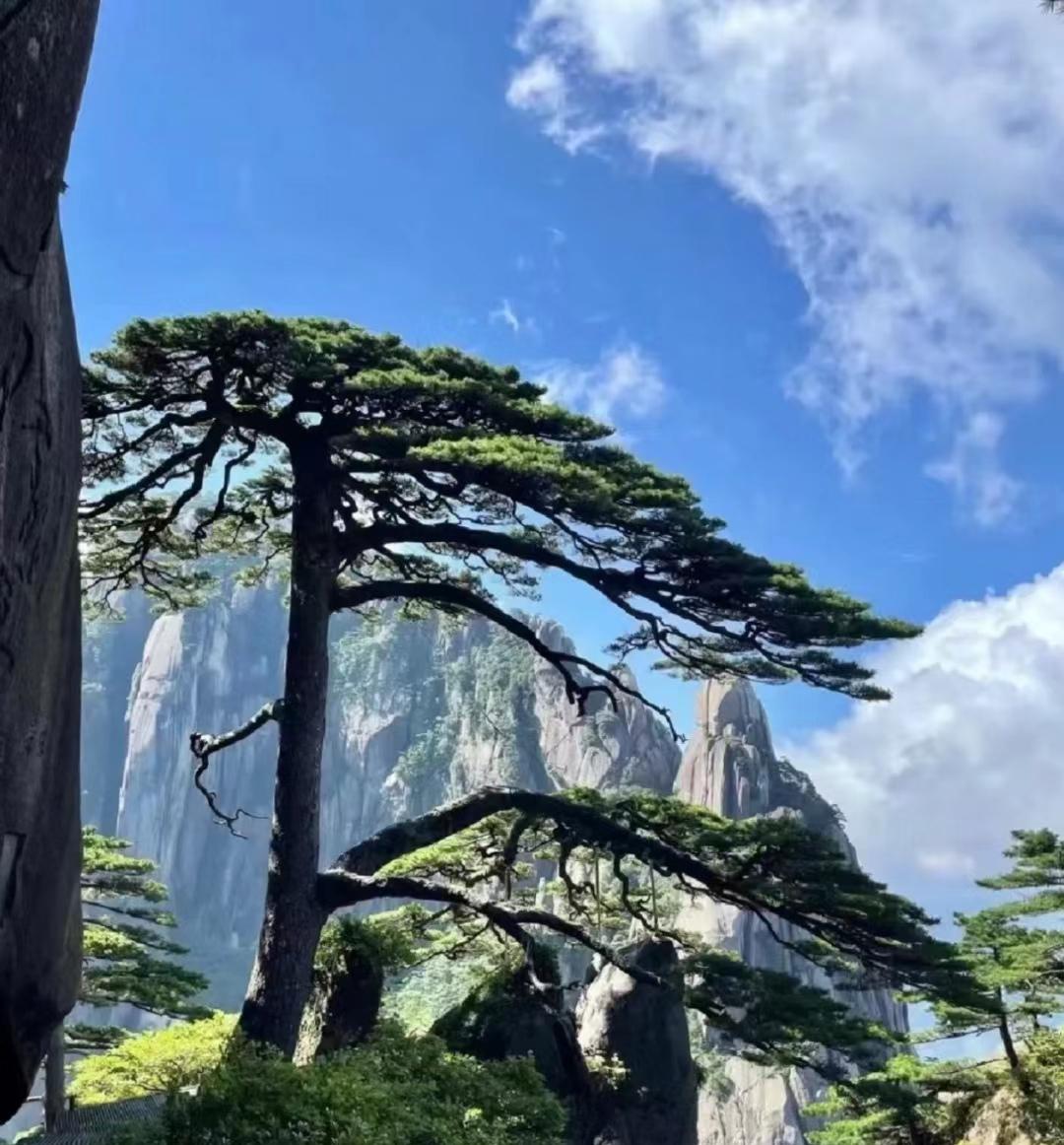 黄山莲花峰图片图片