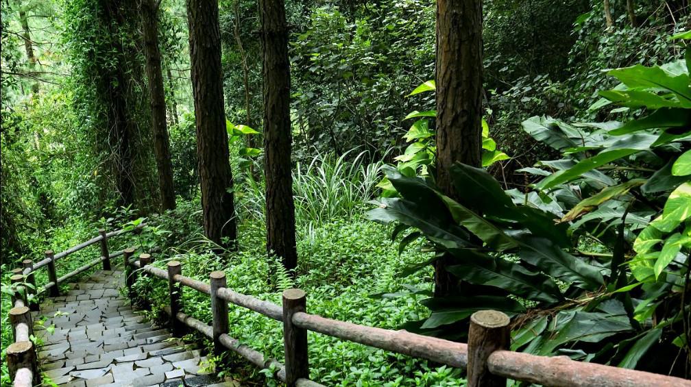 文笔峰盘古文化旅游区 在中国的南部,有一处被誉为"南天瑰宝"的旅游