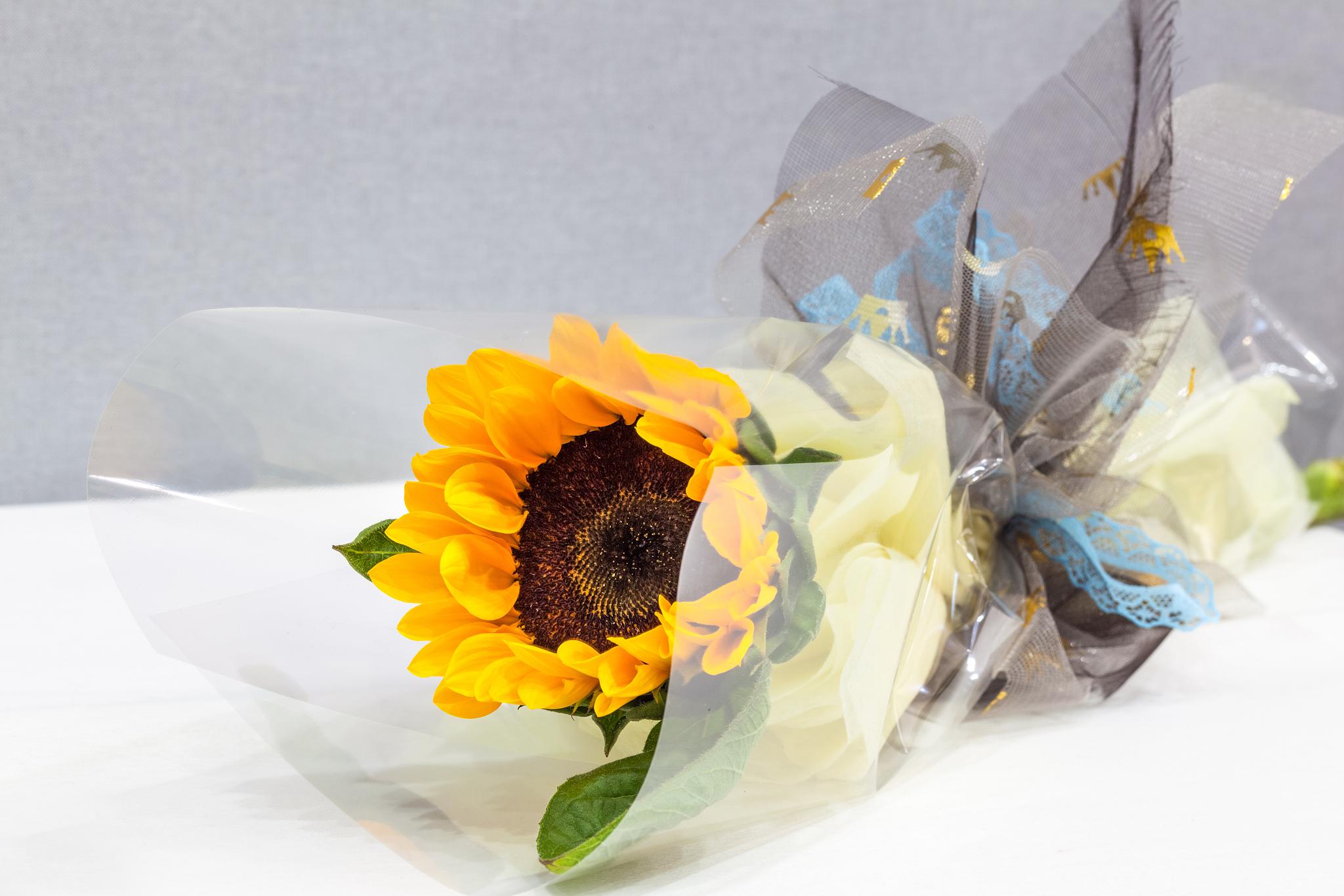 催开鲜切花向日葵的方法 鲜切.@笑笑家居生活的动态