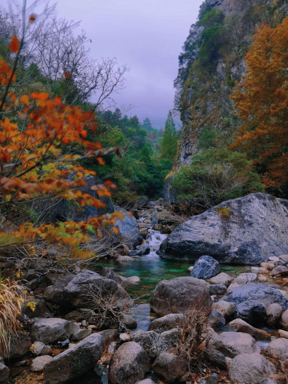 黄山翡翠谷,秋日漫步 黄山,一个世界著名的旅游胜地,以其精巧的峰峦