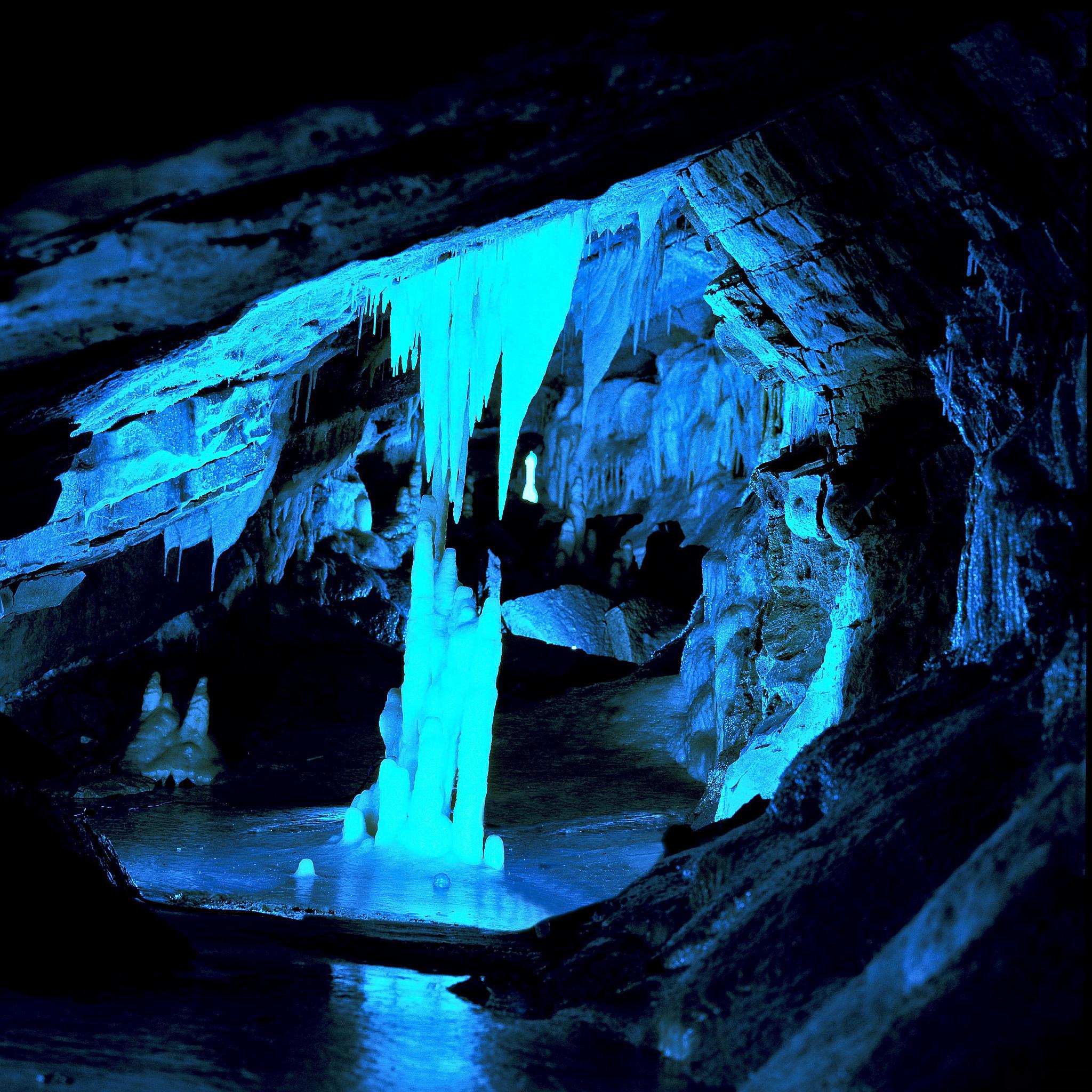 芦笛岩景区的亮点介绍 芦笛岩,位于中国广西壮族自治区桂林市,是一座