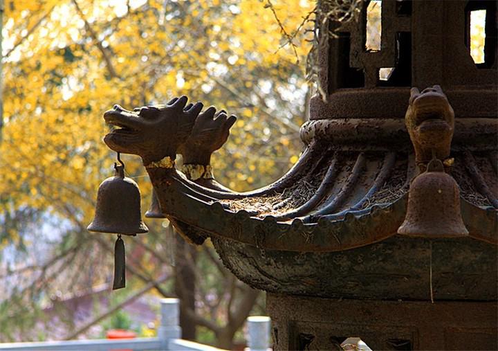 冬日兜率寺,美得如诗如画 南京的兜率寺,位于风景秀丽的浦口老山西