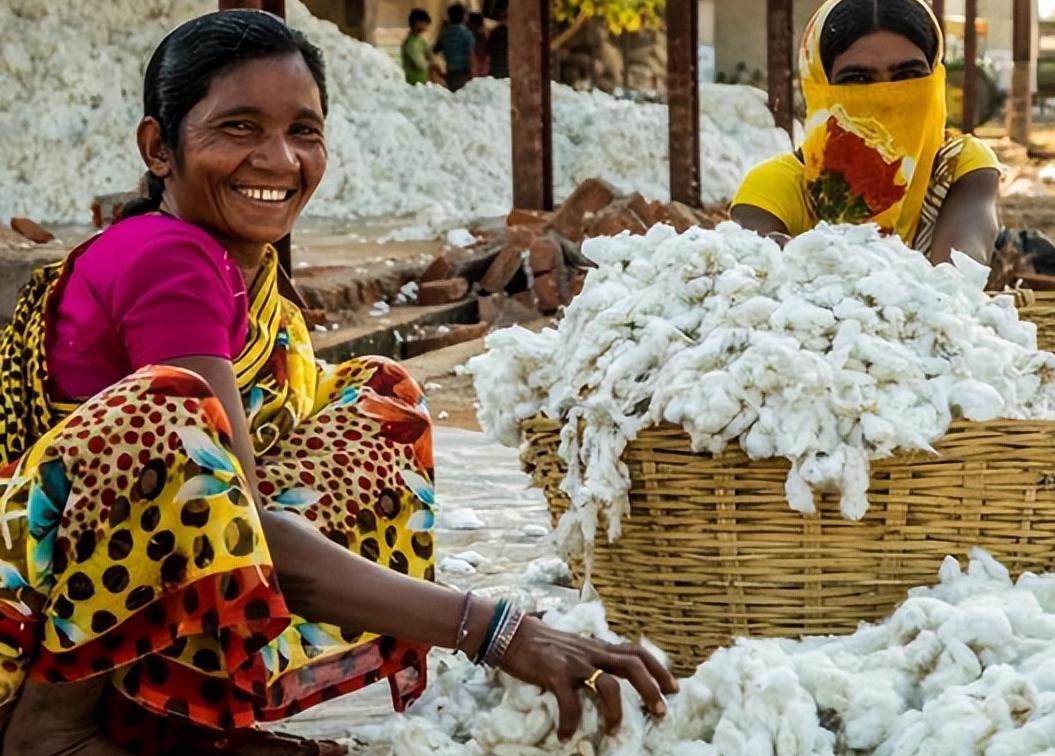 中国棉花产业:出口新疆棉花的战略意义 中国作为全球最大的棉花消费国