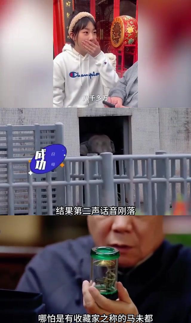 孙越动物园图片