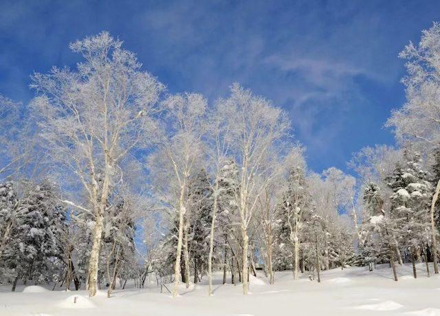 黑龙江五常市雪谷,体验别样的度假生活 抛开繁华都市,远离尘嚣,来到