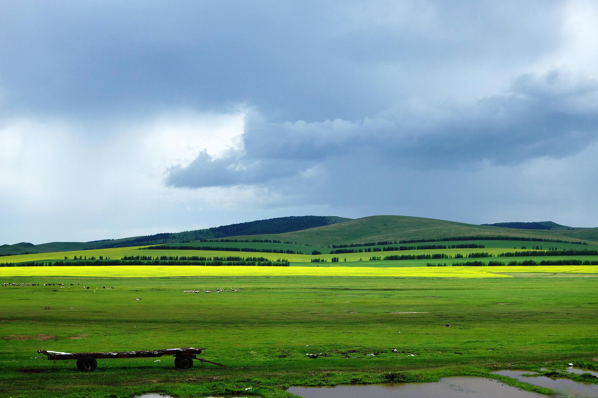 呼伦贝尔草原的自然风光 呼伦贝尔草原位于中国内蒙古自治区的东北部