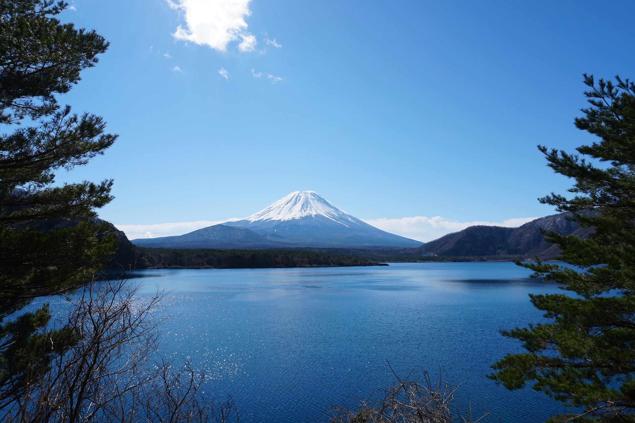 河口湖:富士山脚下的艺术与自然之美 河口湖,一个位于日本富士山脚下