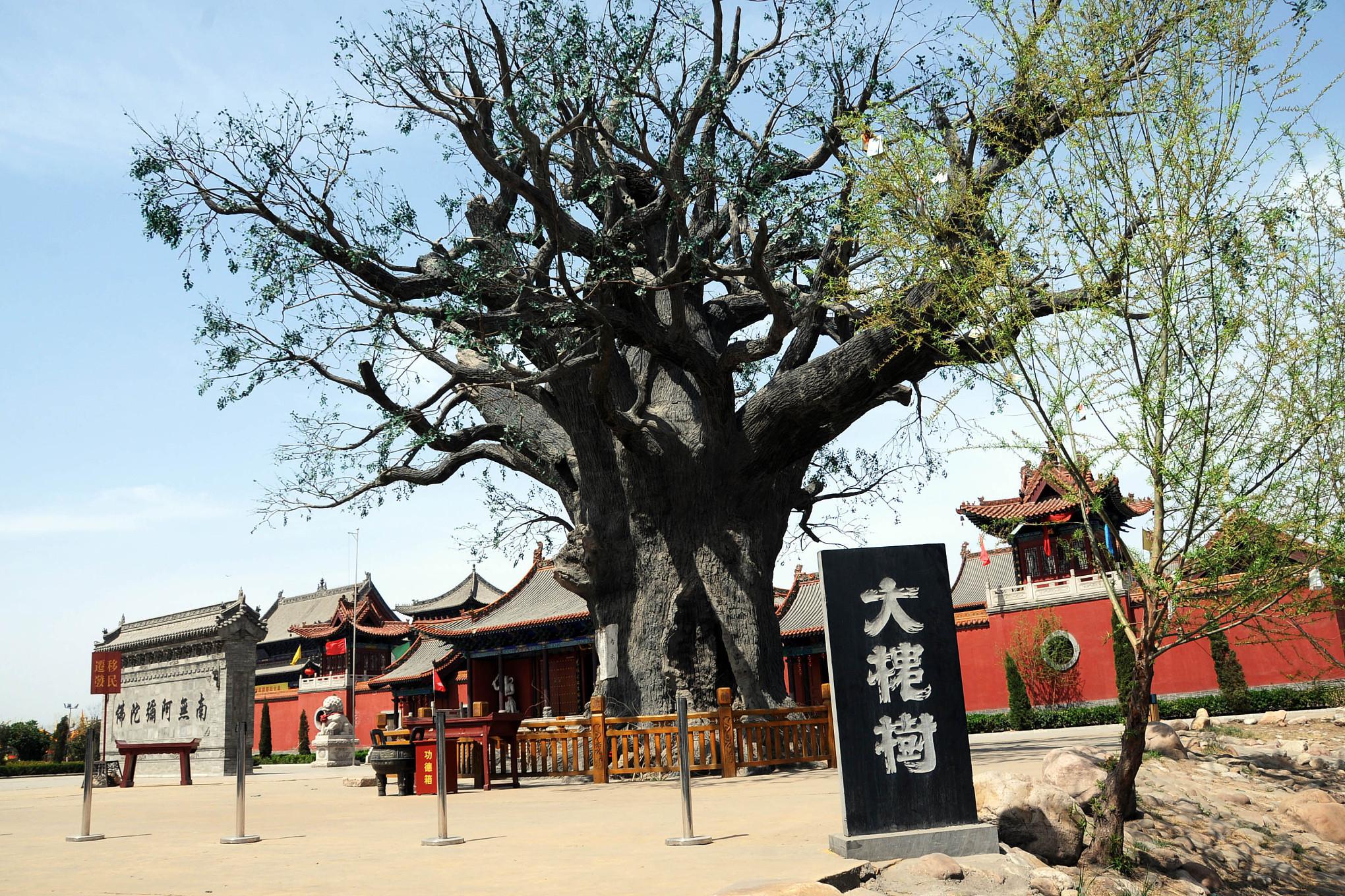 洪洞大槐树景点 洪洞大槐树景点,位于山西省临汾市洪洞县,是众多游客