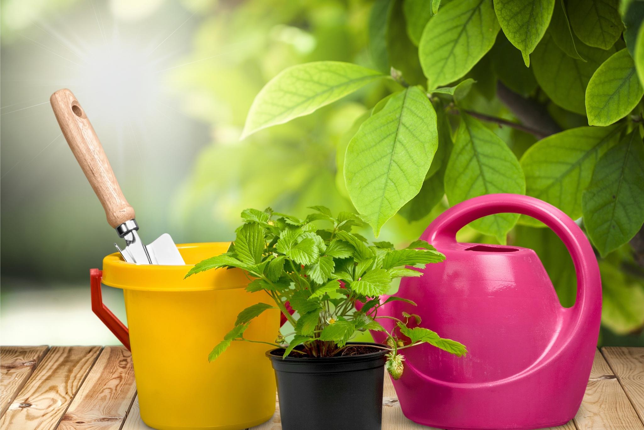 长时间离家如何给花草浇水 随着社会生活节奏的加快,人们经常会因为