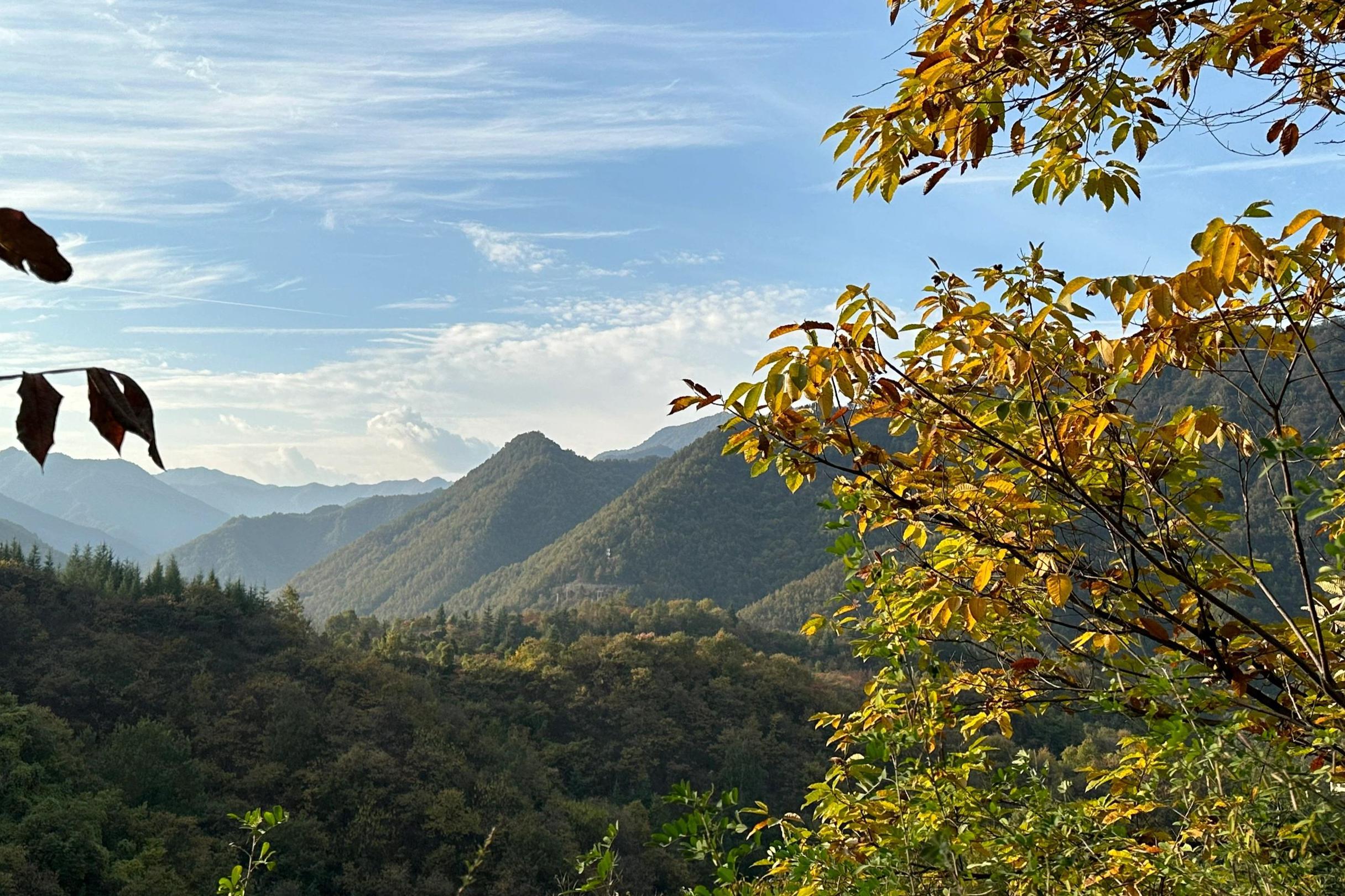 柞水旅游攻略:走进牛背梁,感受朱家湾 柞水县位于陕西省商洛市,这个
