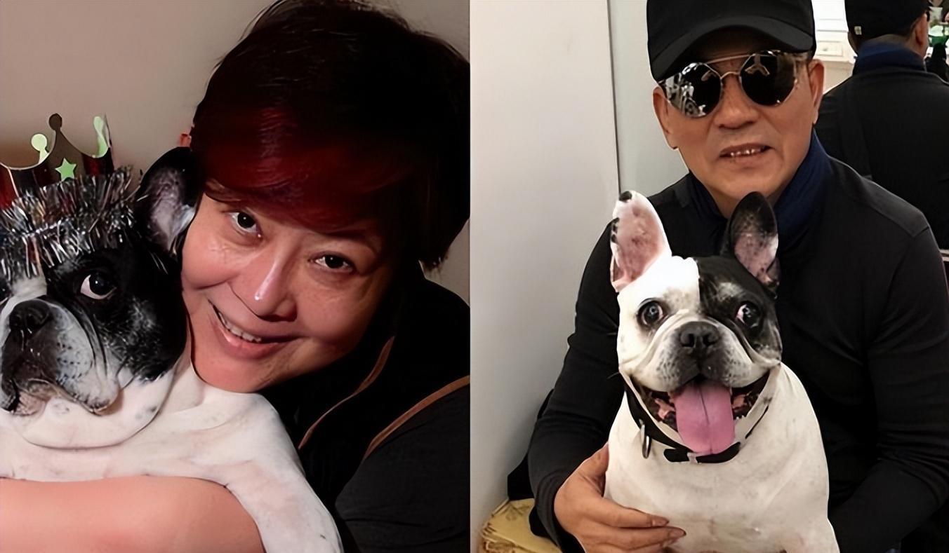 傅丽莉和孙淳:坚持丁克,花60万养狗当儿子 傅丽莉和孙淳是娱乐圈中