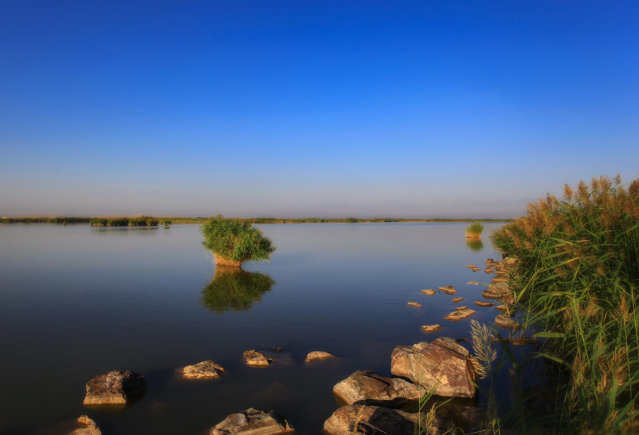 石嘴山市沙湖旅游景区位于中国宁夏回族自治区石嘴山市,是国内旅游必