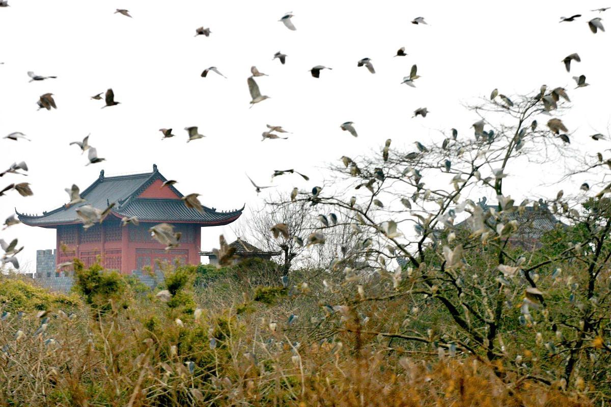 天香园景区图片