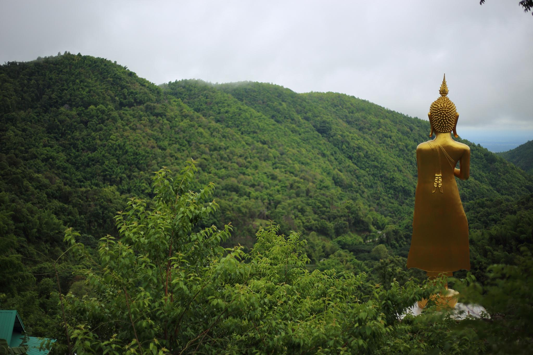 铜仁佛顶山图片