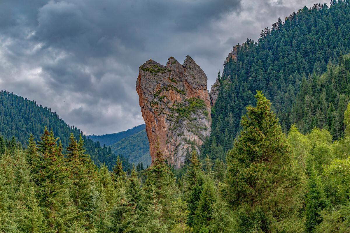 甘肃卓尼县大峪沟4a级森林公园 而我们每个省份都有自己的特色美景,被