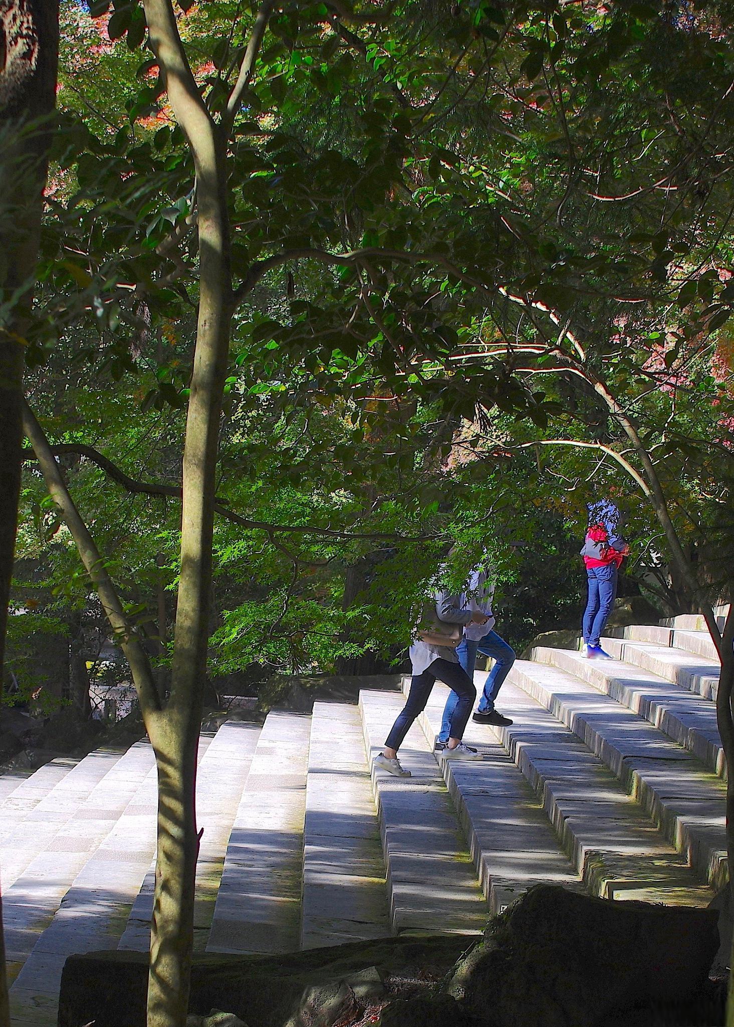 保山太保山公园景区 保山太保山公园景区是云南省保山市的一处风景