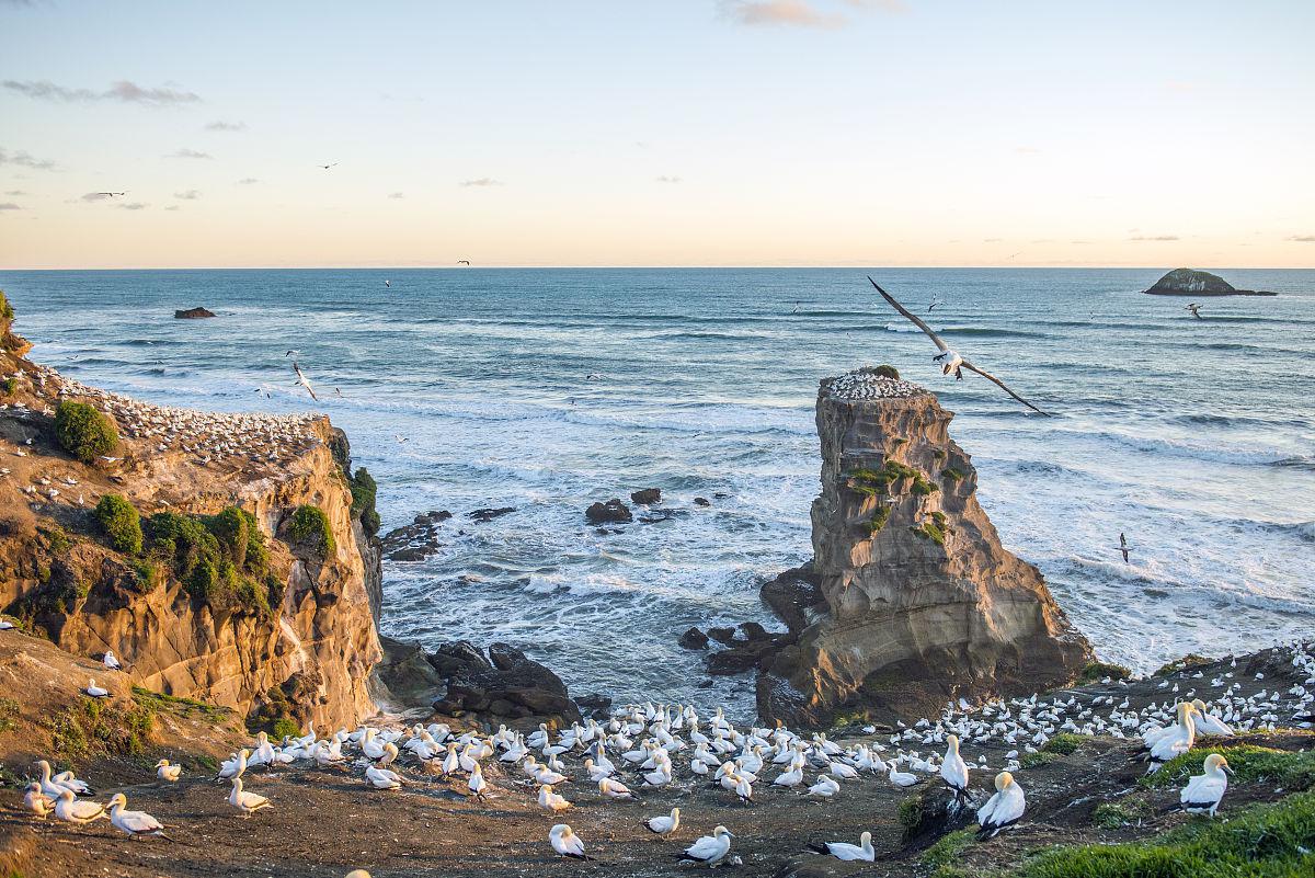 秘鲁鸟岛:自然与人文的和谐共存 在秘鲁海岸附近,有一座小岛,它因生活