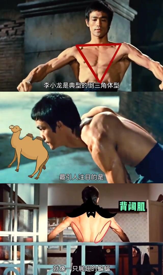 成龙与李小龙:谁身材更强壮?