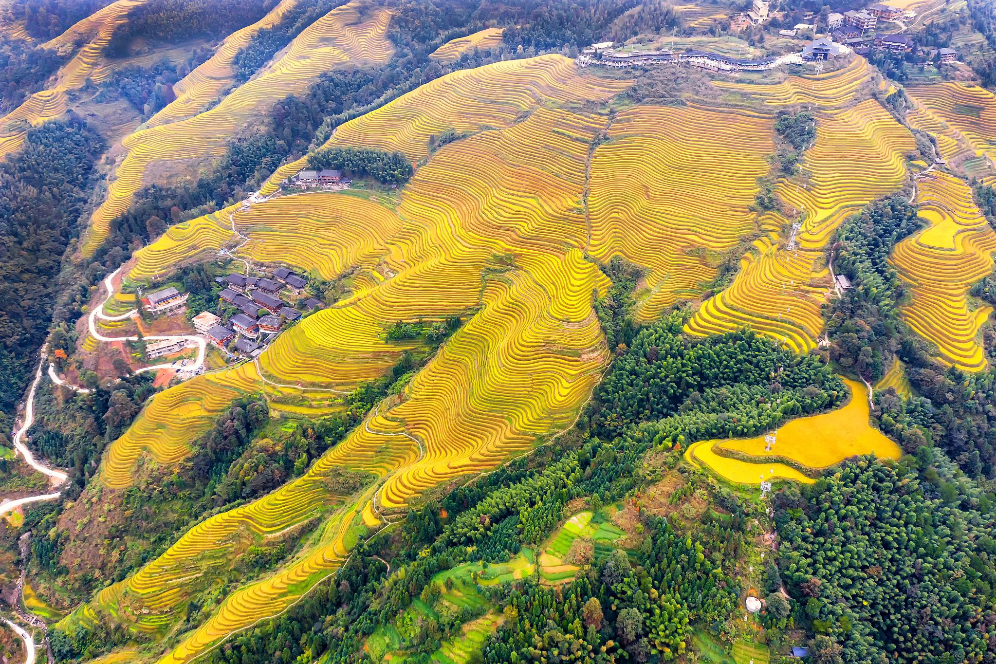 桂林龙脊梯田风景图片图片