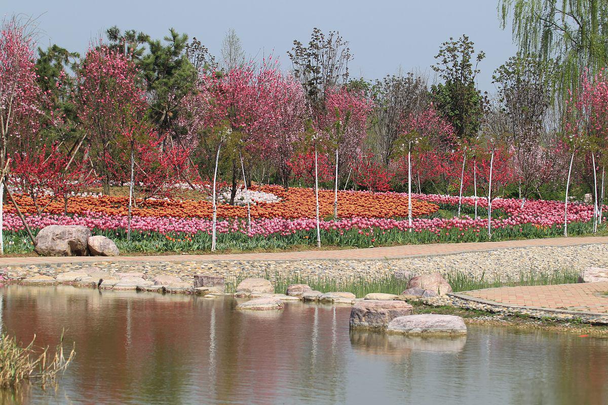 芊卉园:观赏草的盛宴 位于天津市滨海新区的芊卉园,是一个充满自然之