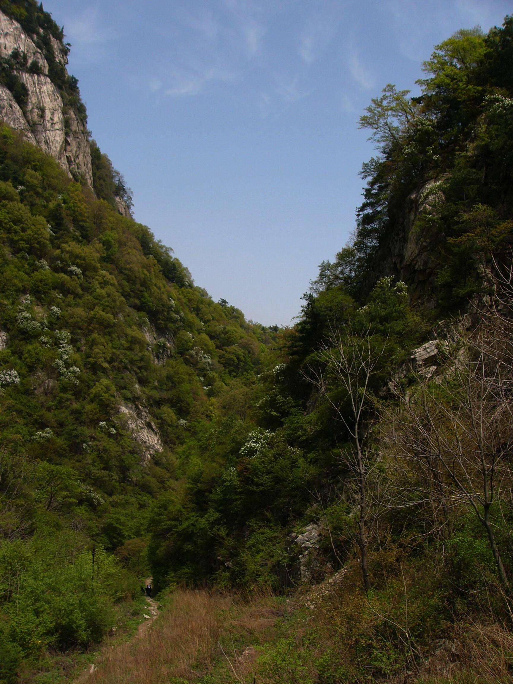 秦岭太行山中间的山图片