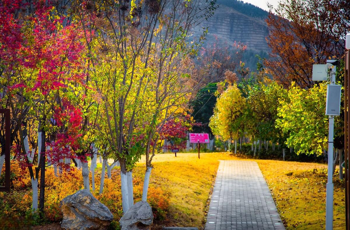 宿州市植物园图片