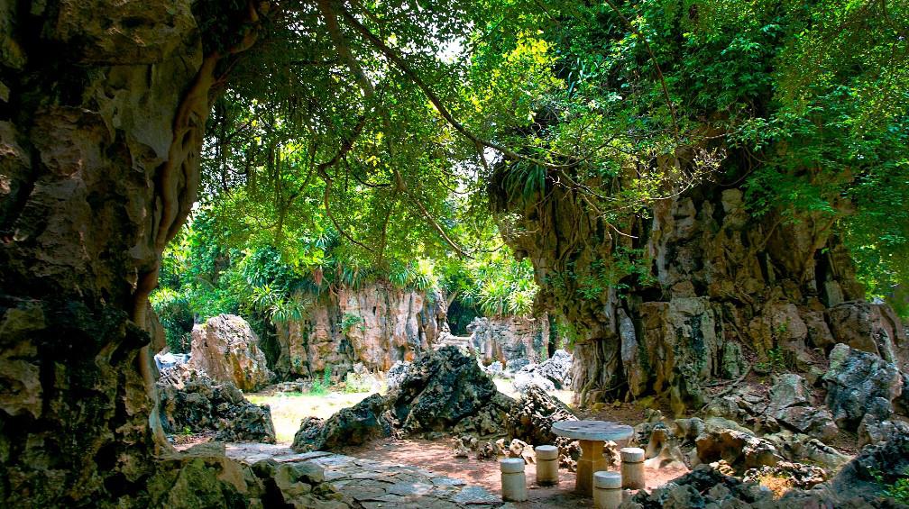 广西崇左石景林景区 在广西壮族自治区的崇左市,有一片美丽的石景林