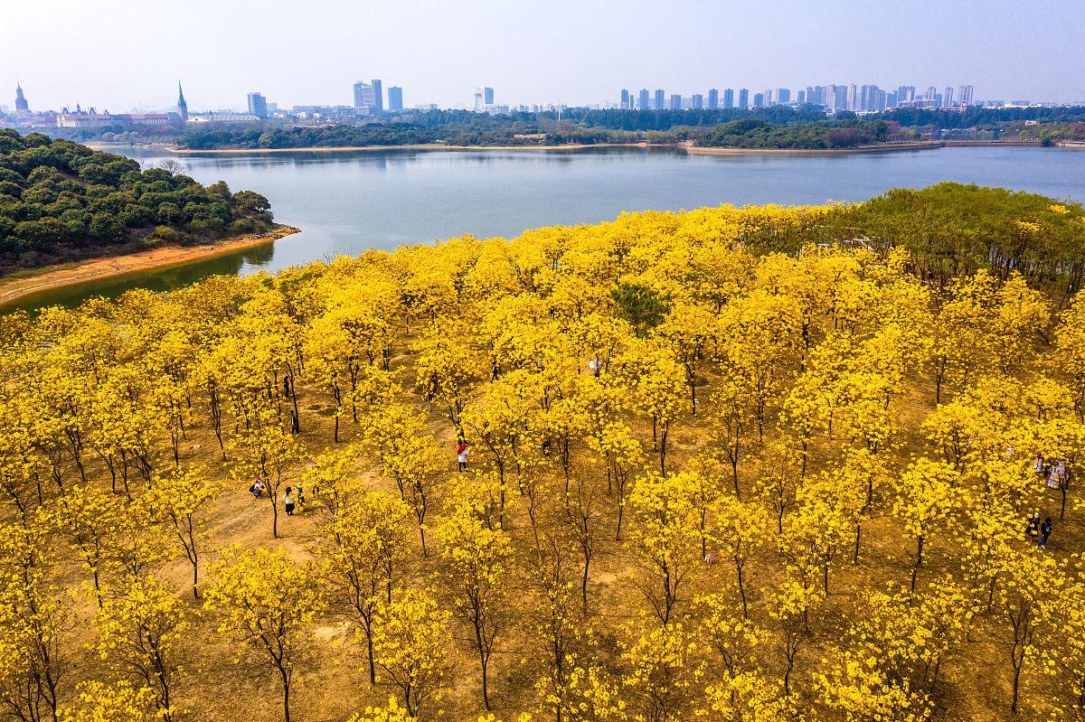 东莞市厚街镇松山公园图片