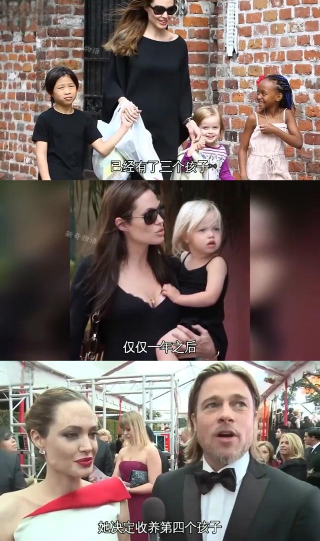 安吉丽娜为什么收养了她为什么在线