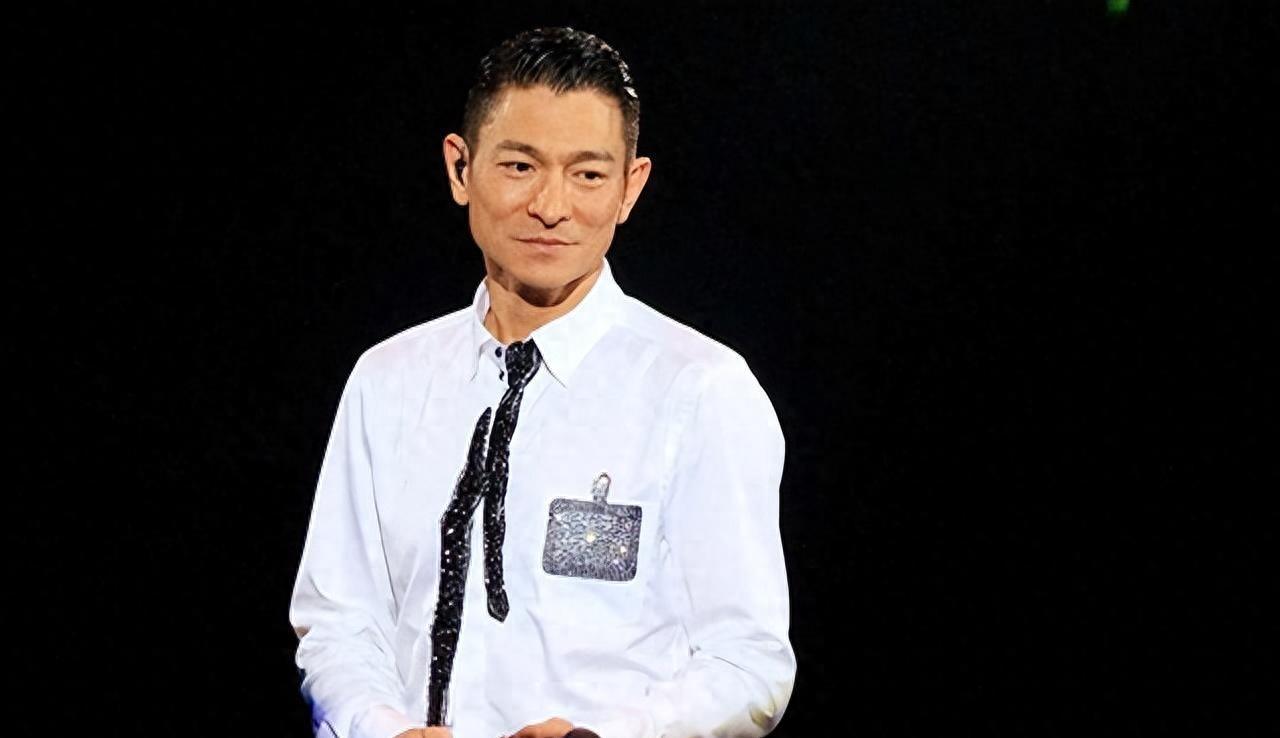 来自中国东北黑龙江省鸡西市的普通农村男孩,因为长得极似巨星刘德华