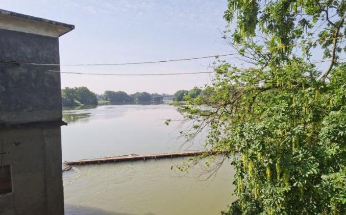 湖南浏阳镇头镇:小巧而宜人的油茶小镇 隐匿于湖南省浏阳市的一片宁静