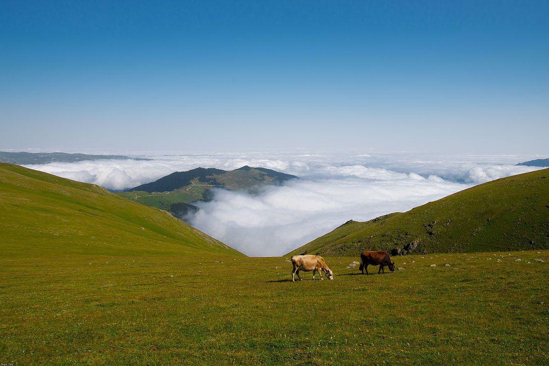 高山美景草原图片