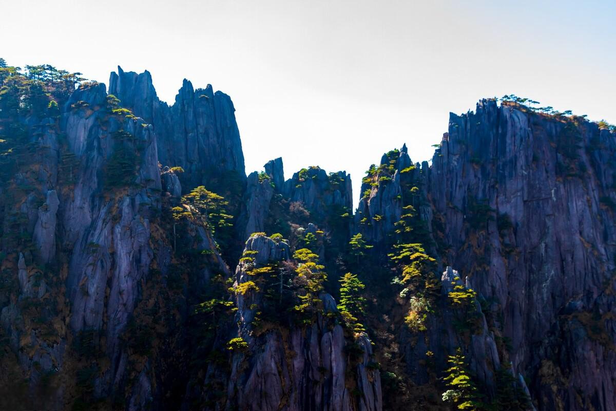 黄山之旅 黄山,位于安徽省南部,因其别具一格的山峰,奇特壮观的松树和
