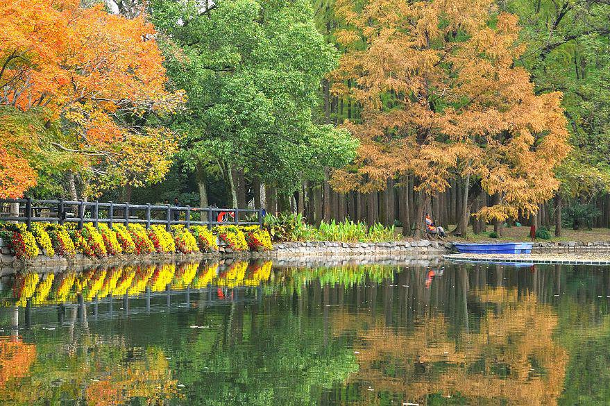 上海宝山南大公园,城市的璀璨明珠 上海宝山南大公园,一个深受市民