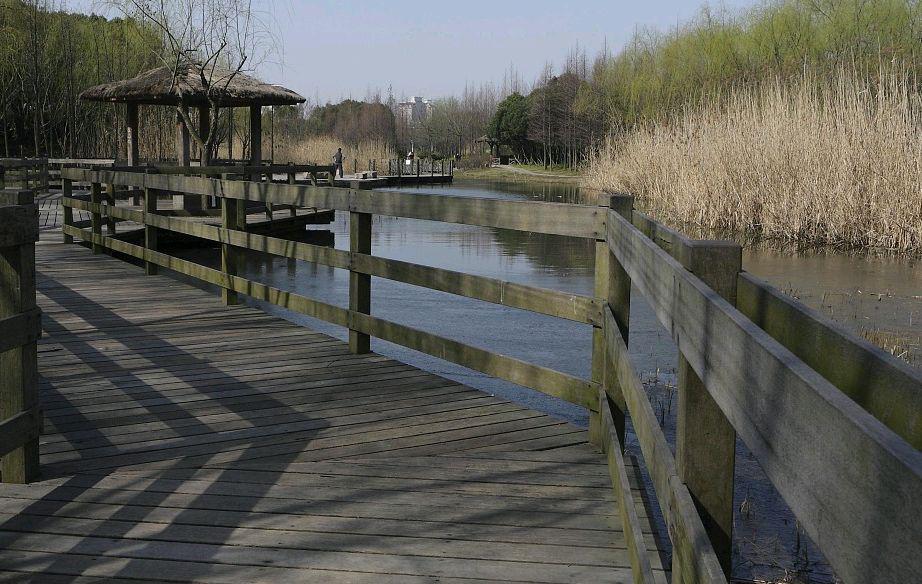 上海宝山南大公园,城市的璀璨明珠 上海宝山南大公园,一个深受市民