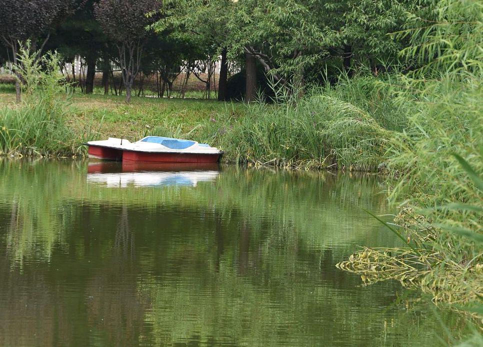 上海宝山南大公园,城市的璀璨明珠 上海宝山南大公园,一个深受市民