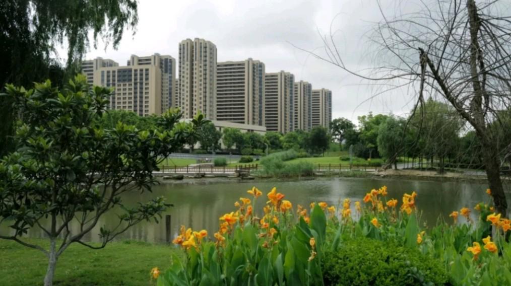 上海宝山南大公园,城市的璀璨明珠 上海宝山南大公园,一个深受市民