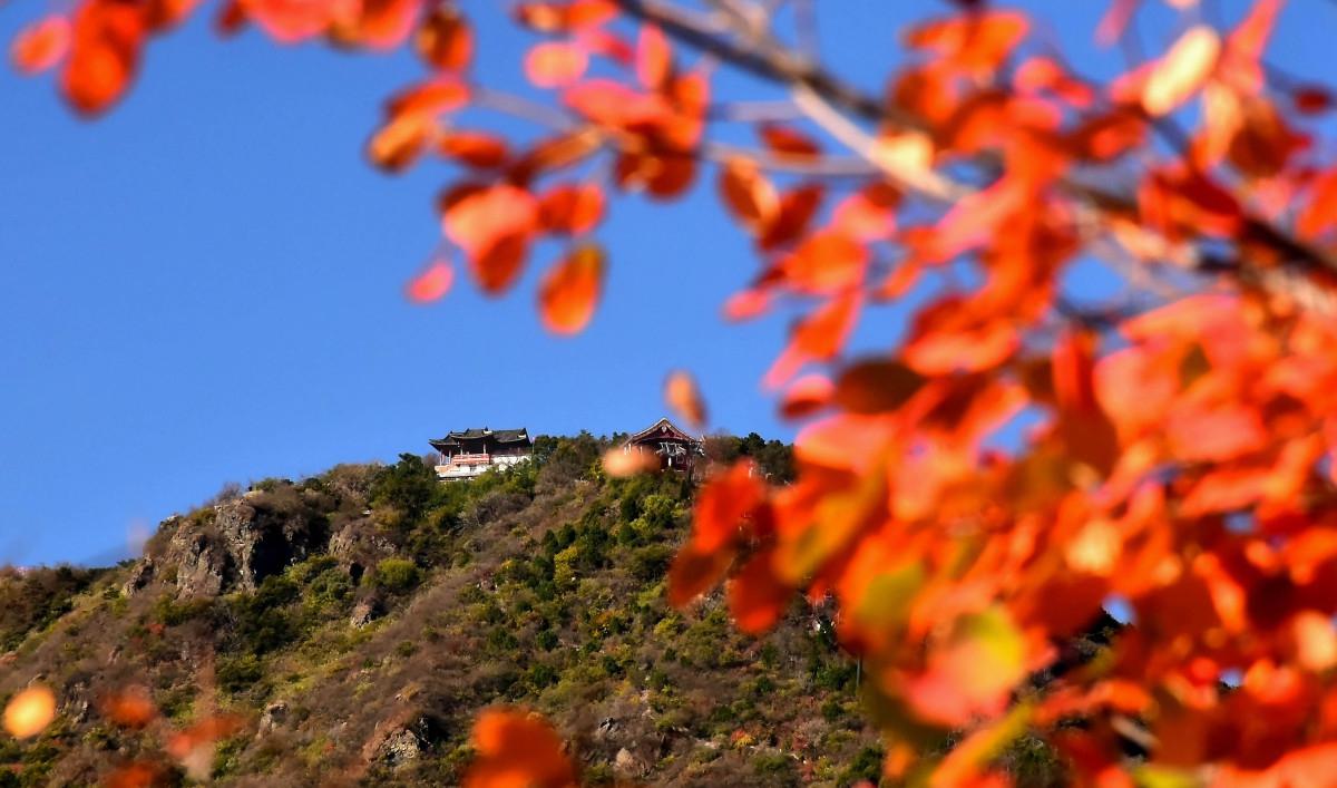 香山公园:秋天的红叶盛宴,感受最美的北京 香山公园,位于北京市海淀区