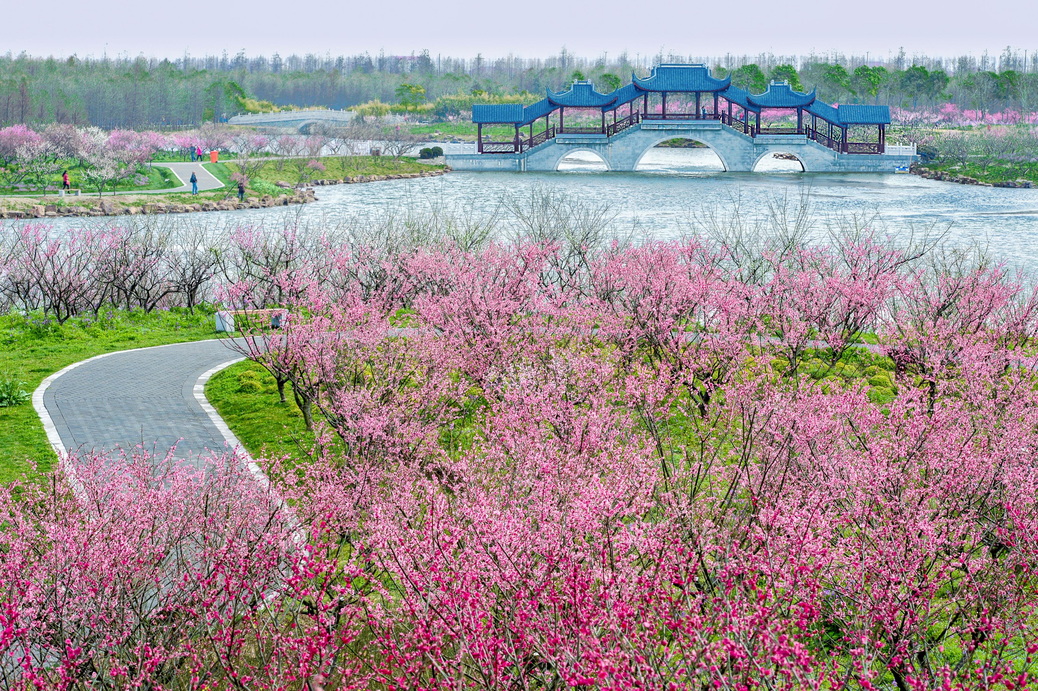 上海奉贤区旅游景点推荐 上海奉贤区是一个风景秀丽,人文底蕴深厚的