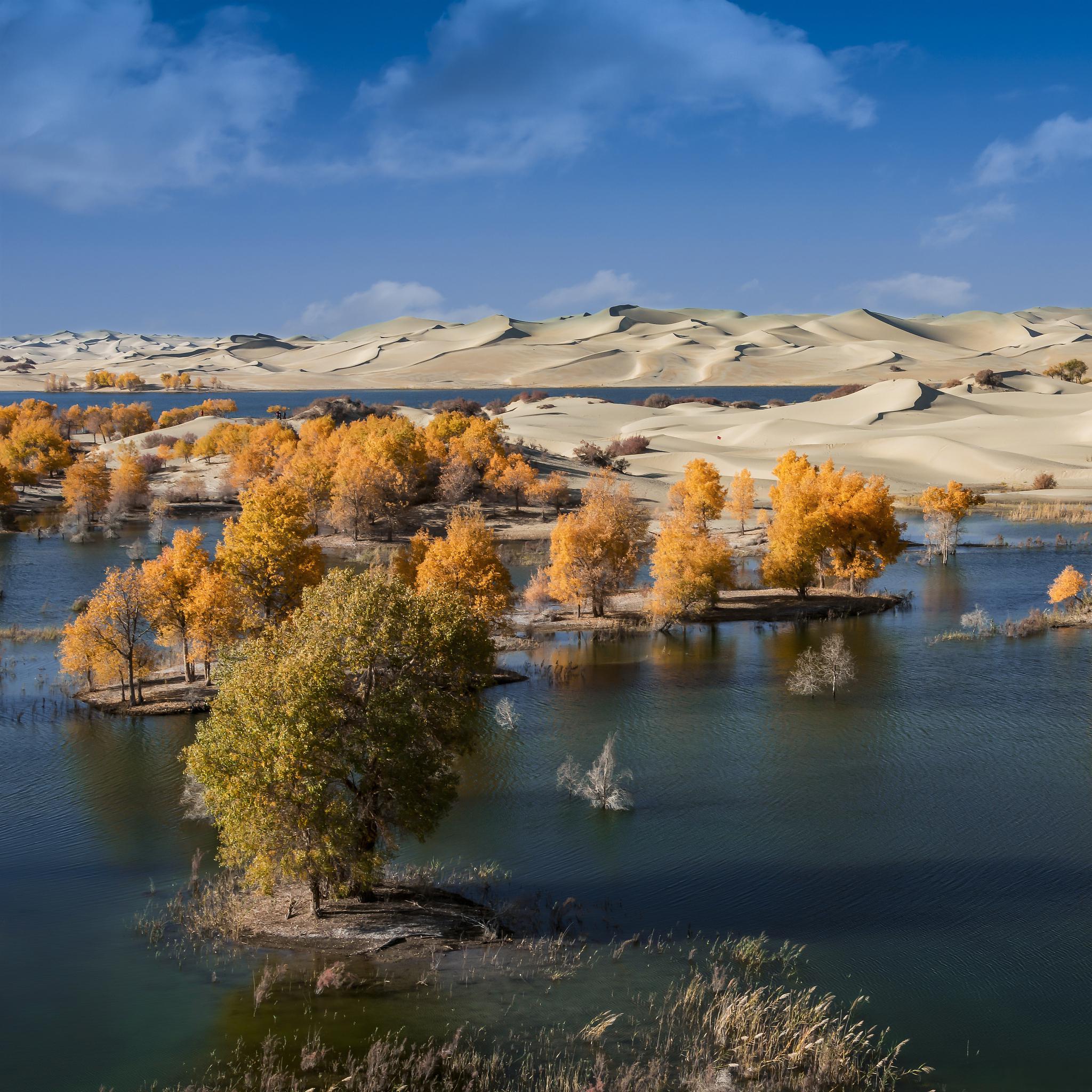 穿越新疆,感受独特魅力 新疆,位于中国的西北边陲,是一个充满神秘和