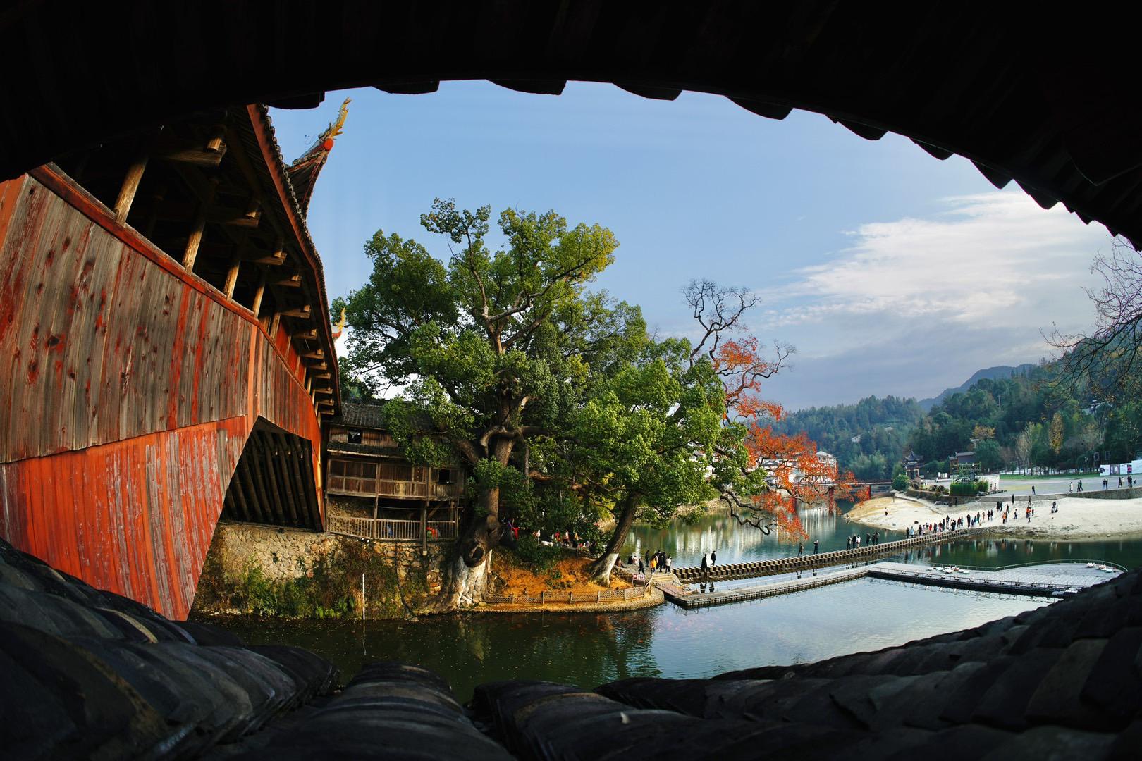 泰顺最火的网红茶馆《情爱廊桥》茶馆 常说着家乡泰顺,吸引了不少远近