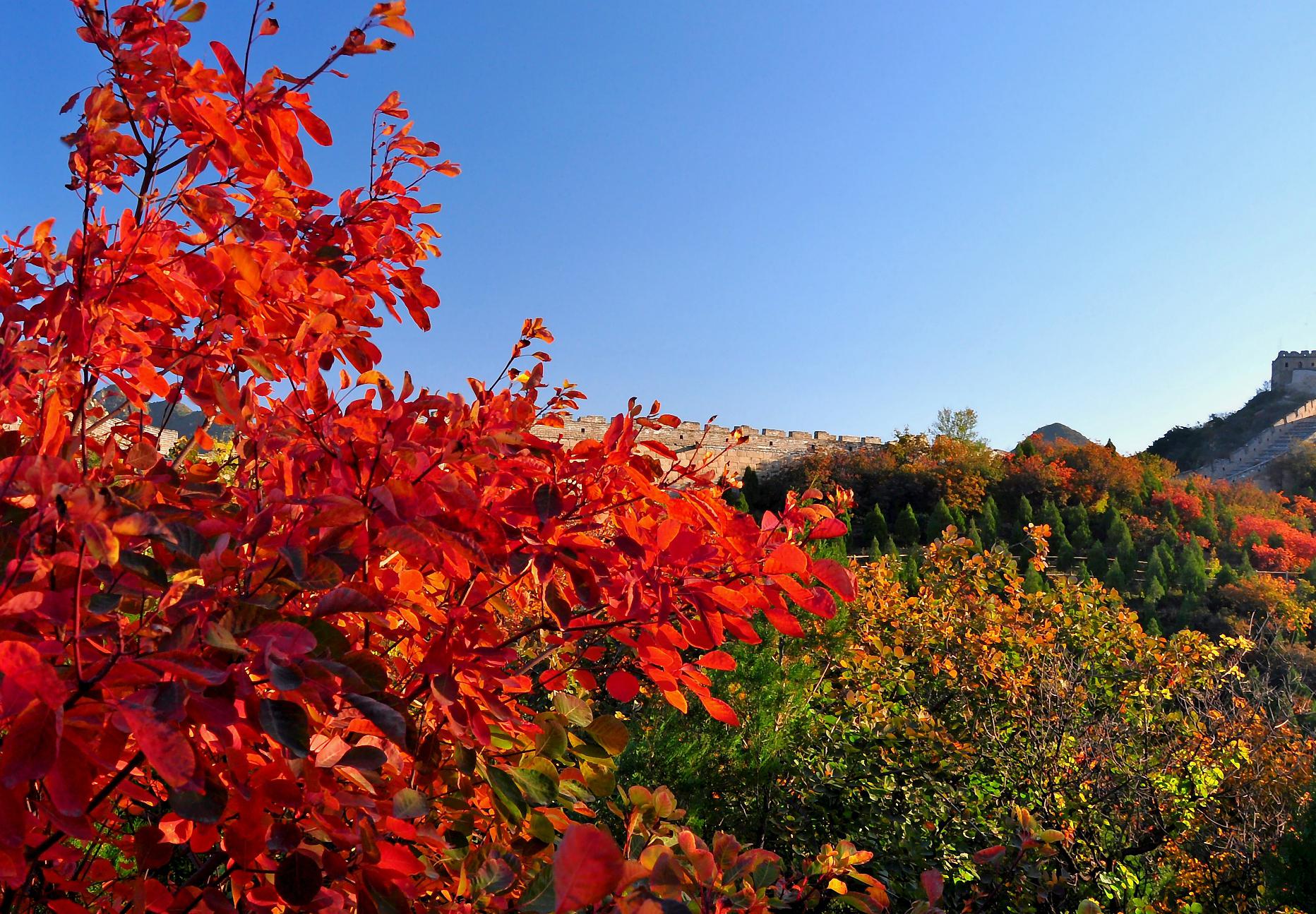 秋冬季节的美景 秋天的红叶,是大自然为我们准备的一场视觉盛宴